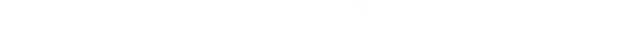 Model Badge
